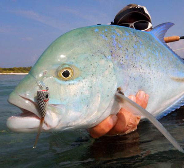 Fliegenfischen auf den Flats